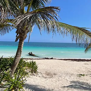 Casa Phoenix Hotel Tulum